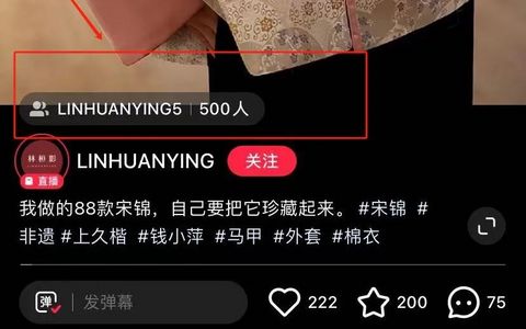 电商类商家的小红书卖货【新阵地】