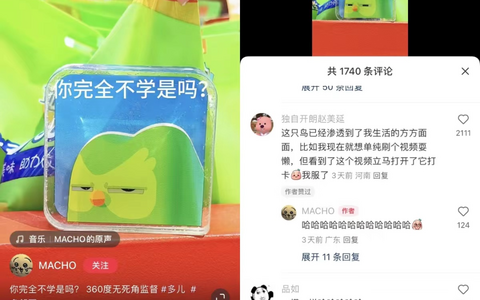 想做IP吗？来抄多邻国的作业